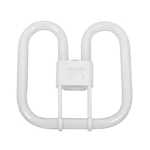 Ampoules LED PL-Q