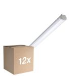 Lot 12x Philips Réglette LED Étanche WT060C 20W 2500lm - 840 Blanc Froid | 120cm