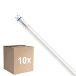 Lot 10x Philips Master Tube LED T8 (EM/Direct 230V) High Output T8 7.6W 1150lm - 865 Lumière Du Jour | 60cm - Équivalent 18W
