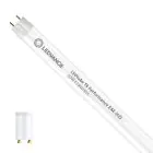 Ledvance LED Buis T8 Performance (EM/Mains) High Output 20W 3100lm - 865 Daglicht | 150cm - Vervangt 58W